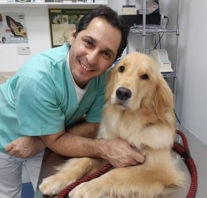Mantenha seu Pet Vermifugado, Veterinário na Vila Mariana Life Care Clínica Veterinária Pet Shop Rua Topázio,968 Tels: 1138057730