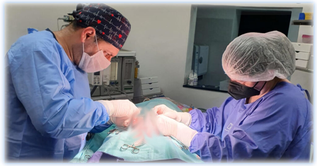 Doutor Darlan em procedimento Cirúrgico na clínica veterinária life care. Serviços Veterinário