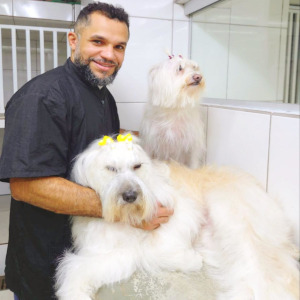 Leia mais sobre o artigo Mantenha o ambiente do seu Pet Limpo