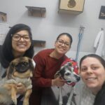 Vet Life Care - Clínica Veterinária na região da Vila Mariana / Aclimação / Paraíso